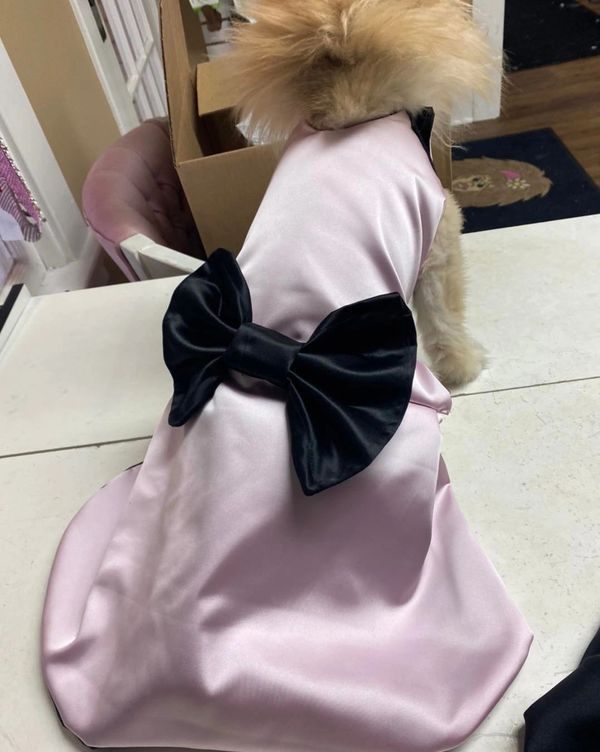 The Posh Pet Boutique Dog Clothes, Dog Boutique